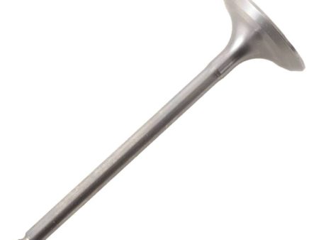 Hot Cams 03-09 11-15 WR 450 F Titanium Intake Valve - Center For Sale